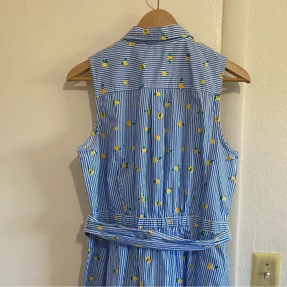 J.Crew Lemon Print Shirt Dress Blue Striped Sleeveless Belted Summer Size 10 - Picture 5 of 10